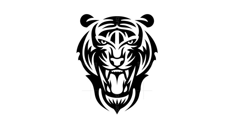 игра Invincible Tiger